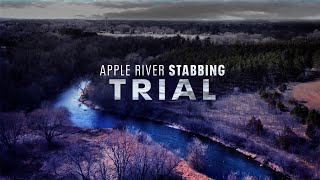 LIVE  Apple River stabbing trial Nicolae Miu  Day 6 [upl. by Lamont246]