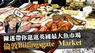 逛逛英國最大型海鮮市場 Billingsgate Market 另外陳迷同大家拜個年🐰🧧 [upl. by Benn]