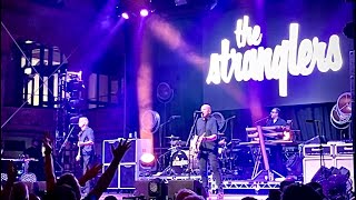 THE STRANGLERS Duchess Rebellion Festival BlackpoolEngland 2824 [upl. by Stclair777]