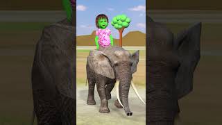 Tiger 🐯 or hathi 🐘 to h anaya ke pas lekin papa ko mummy se dar lagta h papa tiger elephant [upl. by Nibuz]