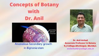 Anomalous secondary growth in Bignonia stem [upl. by Errot]