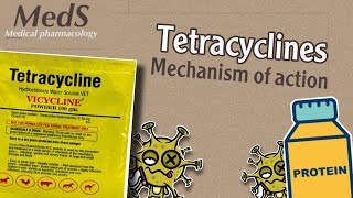 Proteins synthesis inhibitors  Tetracyclines  mechanism of action  MedS [upl. by Lesiram]