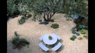 Garden Ideas Gravel garden ideas [upl. by Eydnarb438]