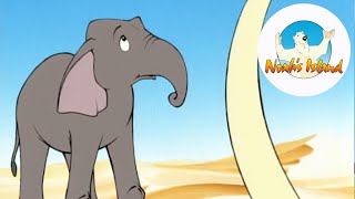 Noahs Island  S01E05  Elephant trouble [upl. by Tony]