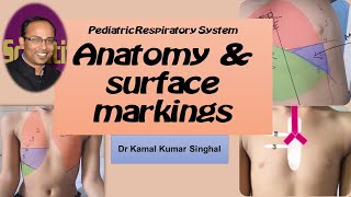 1 ANATOMY AND SURFACE LANDMARKS RESPIRATORY SYSTEM EXAMINATION [upl. by Aramot49]