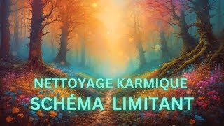 SCHÉMAS LIMITANTS  Nettoyage de mémoire karmique  Libération puissante Karma  Vie antérieure [upl. by Ellenej]