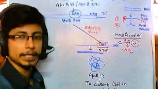 RNA editing mechanism [upl. by Auahsoj]