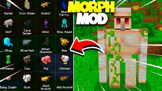 NOVO ADDON DO MORPH MOD PARA MINECRAFT PE 120 COMO VIRAR QUALQUER MOB NO MINECRAFT PE [upl. by Manoop]