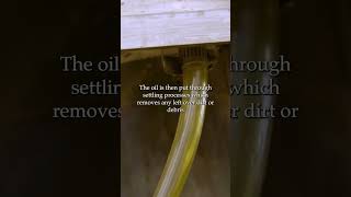 How its made Camelina Oil I Washington Grown [upl. by Lotsirhc576]