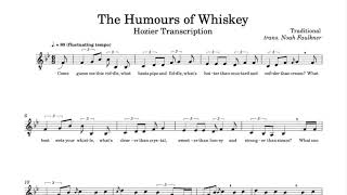 Hozier  The Humours of Whiskey a cappella  Transcription [upl. by Eceerahs]