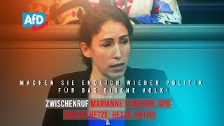 Mariana HarderKühnel AfD 83 der Deutschen wollen Kindergeldzahlungen ins Ausland ganz streichen [upl. by Daye622]