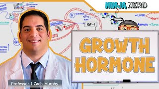 Endocrinology  Growth Hormone [upl. by Ahsimal]