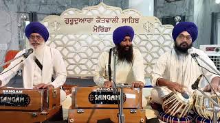 Gurudwara Kotwali Sahib  Live Kirtan  Morinda [upl. by Rhee]