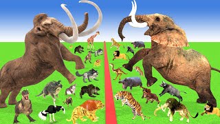 Prehistoric vs Modern Mammals Size Comparison Animals Epic Battle Animal Revolt Battle Simulator [upl. by Sik]