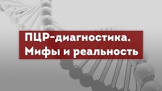 ПЦРдиагностика Мифы и реальность Polymerase Chain Reaction PCR [upl. by Ahseihs766]