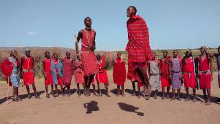 Maasai jumping contest [upl. by Neema]