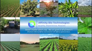 Affinity Seed improves early crop development [upl. by Maurizia181]