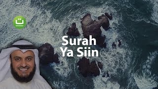 Surah YASIN Merdu dan Menyejukkan  Mishari Rasyid AlAfasy  Tadabbur Daily [upl. by Jestude]