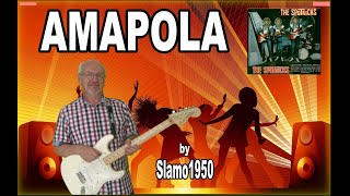 The Spotnicks  Amapola [upl. by Nnylasor]