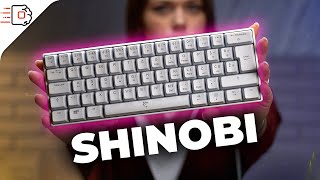 MEHANIČKA tastatura za SAMO 22 EVRA  White Shark SHINOBI [upl. by Milewski]