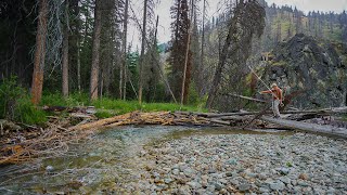 Couldn’t Stop Catching 20 Inch Bull Trout  Backpacking Fly Fishing [upl. by Rosel]