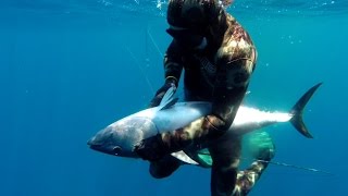 Extreme Spearfishing Tuna and Cray edition SOUTH AUSTRALIA [upl. by Ocin]