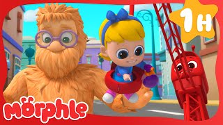 Hairy Daddy Monster 😱  Fun Animal Cartoons  MorphleTV  Learning for Kids [upl. by Nylteak]