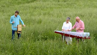 Howls Moving Castle Theme  Joe Hisaishi  Merrygoround of life  ハウルの動く城  Theremin amp Glass Harp [upl. by Annayat]