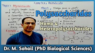 Polysaccharides  Complex Carbohydrates  Homopolysaccharide [upl. by Ahsinwad]