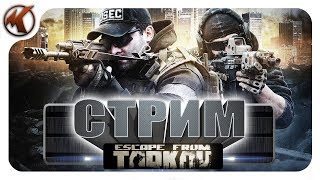 🔴 Escape from Tarkov  КВЕСТЫ МИРОТВОРЦА [upl. by Thurmann]