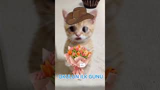 BU OKUL NE ZAMAN BİTECEK YA  animasyon comedyvideos funny cute comedy comedyvideos animation [upl. by Honorine]