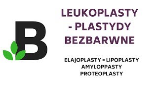 LEUKOPLASTY czyli plastydy bezbarwne KOREPETYCJE z BIOLOGII  107 [upl. by Monaco]