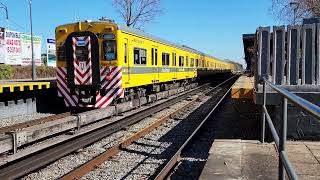 Estación Martin Coronado [upl. by Quintana]