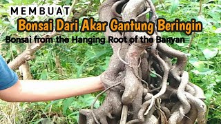 Bonsai cepat jadi  Dari Akar Gantung Beringin Unik Nan eksotik [upl. by Reivaj642]