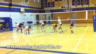 Volleyball Conditioning Exercise Court Funs [upl. by Jaddan]