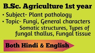 Fungi Definition General Characters Somatic structures Types of fungal thalli Fungal tissues [upl. by Thorner]