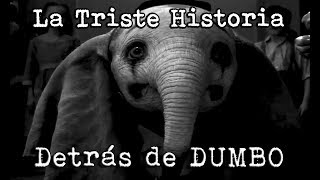 La Triste Historia Detrás de Dumbo [upl. by Eigroeg]