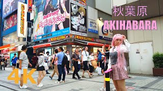 【4k】Tokyo walkAkihabara🌻秋葉原を散歩 [upl. by Aynahs]