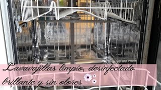 ¿Tu lavavajillas no limpia bien ¡Necesita una limpieza  Cómo limpiar el lavavajillas [upl. by Schifra]