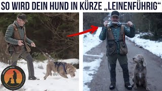 5 Tipps wie dein Hund in Kürze „leinenführig“ wird und trotzdem ausgelastet ist  Hundeschule UB [upl. by Aillimat382]