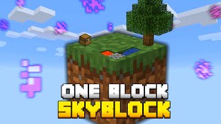 Minecraft Skyblock But You Only Get ONE BLOCK [upl. by Rosse]