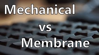 Mechanical Keyboard vs Membrane Keyboard Sound and Latency Test [upl. by Philomena]