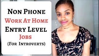 NON PHONE Work At Home JOBS For Introverts Entry Level [upl. by Romney]