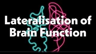 Lateralisation of Brain Function [upl. by Rasure907]