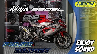 Arrow Exhaust Ninja 250 SL  Suara Bass nya Itu loh [upl. by Oned770]