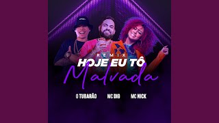 Hoje Eu Tô Malvada [upl. by Htnicayh]