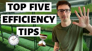 Microgreens Business 5 tips to IMPROVE EFFICIENCY [upl. by Hendren]