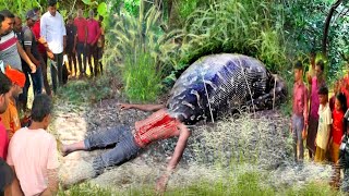 Anaconda Attack Man In Forest  Anaconda Attack In Real Life  anaconda snake attack story part03 [upl. by Anerul]