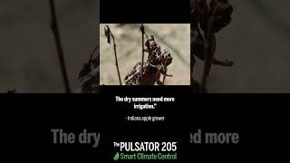 Protect Your Crops with the The Pulsator 205 – The Complete Solution for Extreme Weather [upl. by Curnin]