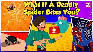 How Does Spider Bite  Worlds Deadliest Spiders  Most Venomous Spider  The Dr Binocs Show [upl. by Alleacim245]